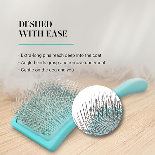 Big G Dog Slicker Brush for Dogs (Medium / Teal)