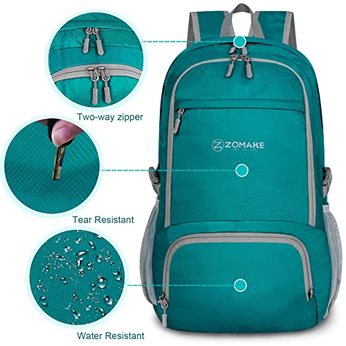 Lightweight Packable Backpack 30L (30L / C-lake Green)