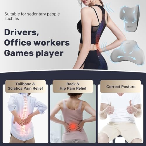 Lumbar Support and Headrest Pillow for Car (Gray-1)
