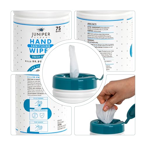 4 Pack Hand Sanitizing Wipes (75 Count (Pack of 4))