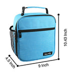 Insulated Lunch Bag for Men Women (Blue)