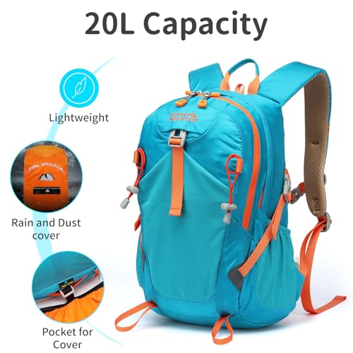 Small Hiking Backpack (Lake Blue / 20L)