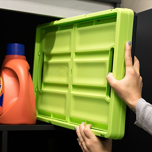 Collapsible Storage Bins (Black / 46l - 1 Pack)