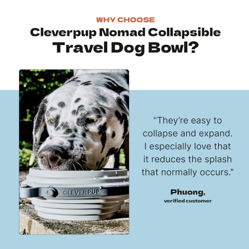 Nomad Large Collapsible Travel Dog Bowl (Natural Sand / Large)