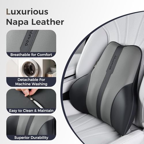 Lumbar Support Pillow for Car (Blackgray)