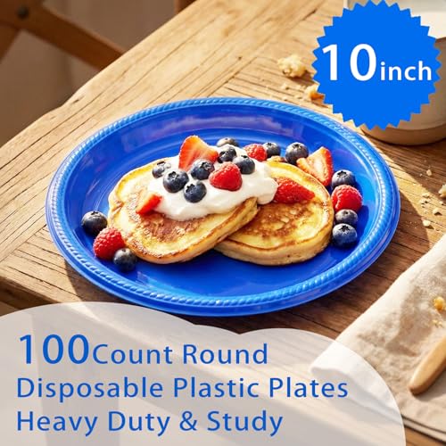 100 Pcs 10 Inch Blue Plates (Blue / 100 Pcs)