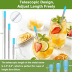 Collapsible Reusable Metal Straws (Black-Blue-Rose Gold-Turquoise-Red-Silver)