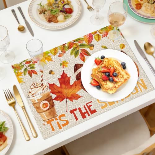 Fall Football Placemats Set of 6 (Fall Football)