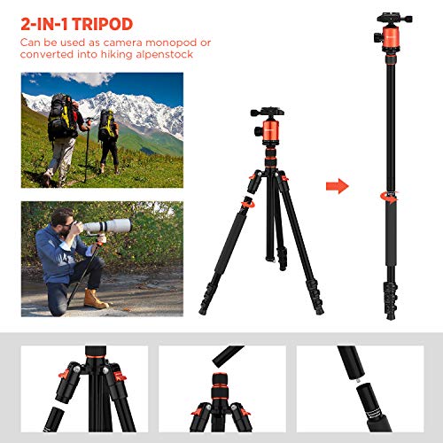 77’’ Tripod Camera Tripod for DSLR (77 Inches Tripod - B07DC48V5H)