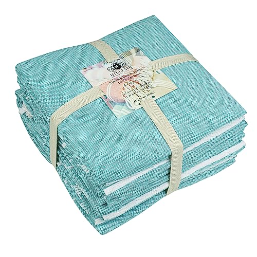 Cotton Turkish Beach Towels (39 x 72 inch ( Beach towel - 4 PACK ) / Aqua)