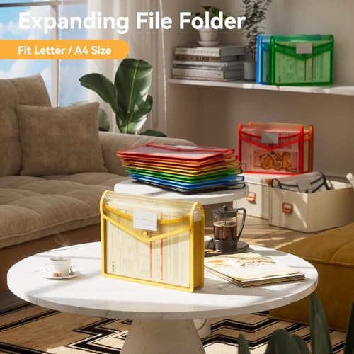 6 Pack Plastic File Folder (6 Pack Black+blue+green+yellow+orange+red)