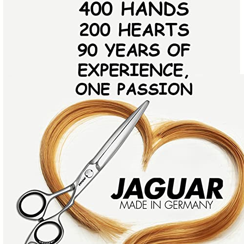 Pre Style Relax Hairdressing Scissors 7" Long (Classic / 7.0 Inch)