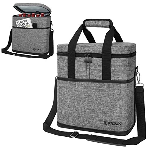 Insulated Wine Cooler Bag (6 Bottle / Heather Gray)