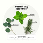 Scented Reed Diffuser for Home