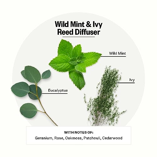 Scented Reed Diffuser for Home
