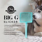 Big G Dog Slicker Brush for Dogs (Large / Teal)