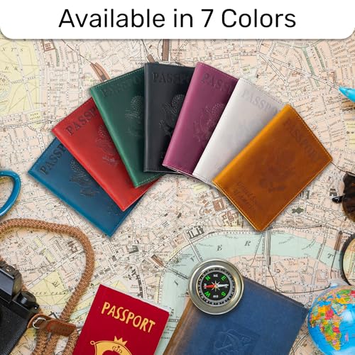 Leather Passport Holder (Black / Usa Great Seal)