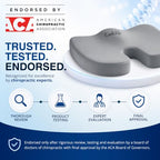 Doctor Recommended Seat Cushion (Gray / Large)