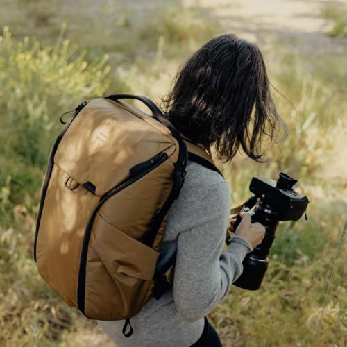Everyday Backpack 20L (20L / Coyote)