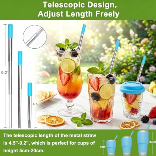 Reusable Collapsible Metal Straws (Black-Rose Gold-Turquoise)
