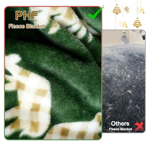 Christmas Fleece Blanket Queen (Northern Winter / Queen(90" X 90"))