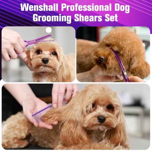 Professional Dog Grooming Scissors Set (Purple)