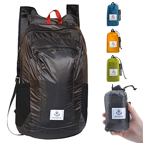 Hiking Daypack (Grey / 24L)