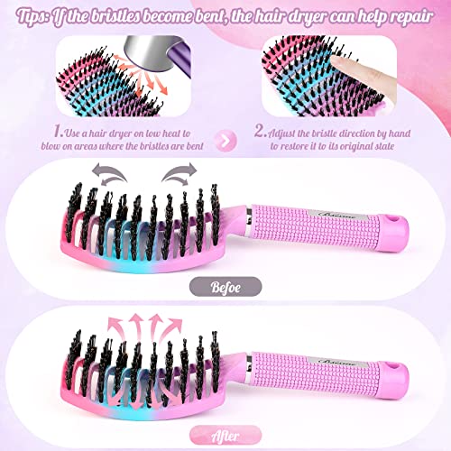 Boar Bristle Hair Brush Curved Vented Detangler Brush Faster Blow Drying (Purple+Green)