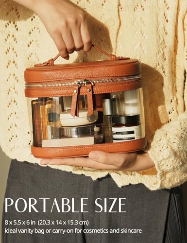 Travel Makeup Case Clear Vanity Bag with Brush Holder (Brown / Train Case)