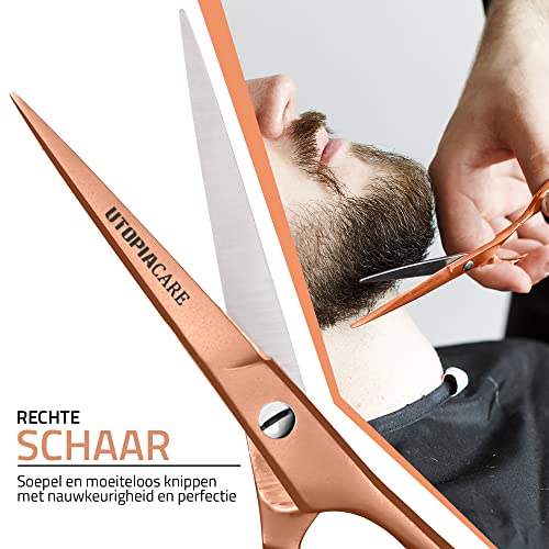 Hair Cutting and Hairdressing Scissors 6.5 Inch (6.5 Inch (Pack of 1) / Rose Gold)