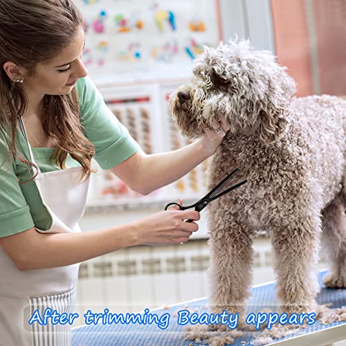Dog Grooming Scissors Kit with Safety Round Tips (Black 5 in 1)