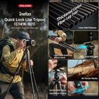 FALCAM TreeRoot F38 Quick Lock Lite Carbon Fiber Tripod with Ball Head (T00A4903)