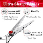 5.0 inch Silver Barber Hair Cutting Scissors (5 Inch (Pack of 1))
