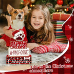 Tiered Tray Decor Set (Christmas Dog)