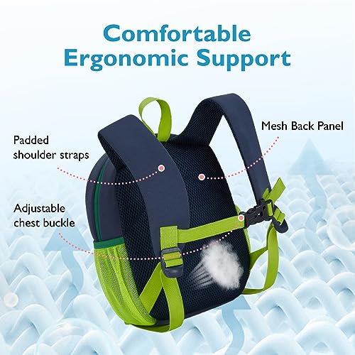 Toddler Backpack for Boys 2 (Dinosaur / Neoprene Toddler Backpack)