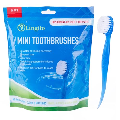 Bulk Toothbrushes (36 Pack Prepasted Mini Toothbrush - Medium)