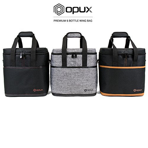 Insulated Wine Cooler Bag (6 Bottle / Black)