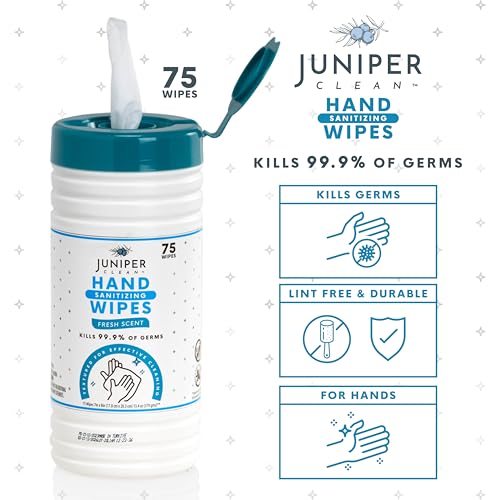 1 Pack Hand Sanitizing Wipes (75 Count (Pack of 1))