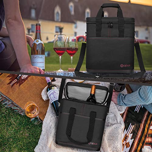 Insulated Wine Cooler Bag (6 Bottle / Black)