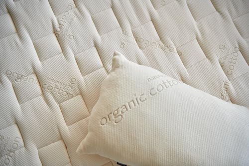 Organic Latex Pillow (King)