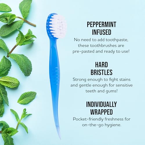 Bulk 36 Pack Mini Toothbrush Set (36 Pack Prepasted Mini Toothbrush - Hard)
