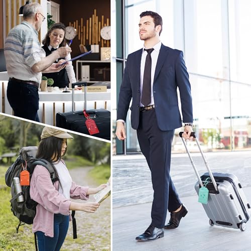 3 Pack Luggage Tags for Suitcases Bag Tag (Black Global)