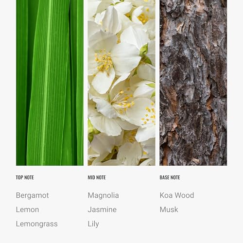 Hotel Collection Diffuser Oil (4.1 Fl Oz)