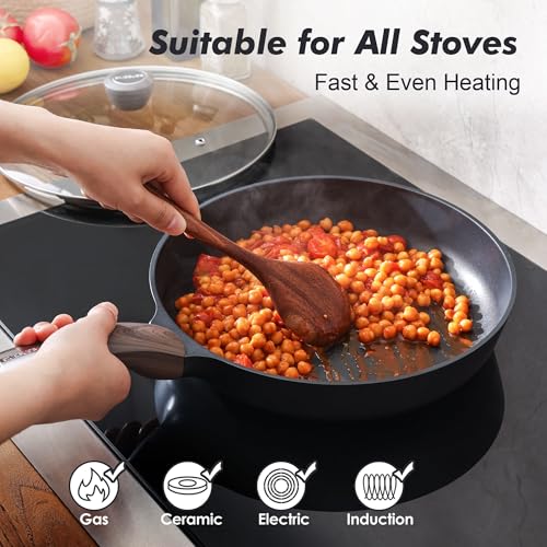 8inch Nonstick Frying Pan Paella Pan with Lid (8 Inch / NIGHT Black)