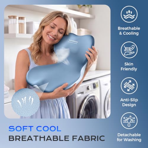 Car Seat Cushion and Lumbar Support Pillow One Piece (Blue-a / 1 Piece)
