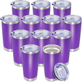 20oz Tumbler Insulated Coffee Tumblers with Lid Stainless Steel Purple 12P (Purple)