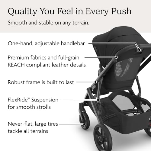 Vista V3 Convertible Single (Vista V3 Stroller / Jake (Charcoal))