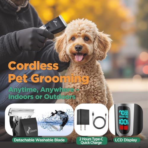 Professional 7000rpm Low Noise 55db Cordless Rechargeable Dog Clippers (Silver)