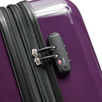 Helium Aero Hardside Expandable Luggage with Spinner Wheels (Plum / Checked-Medium 24 Inch)