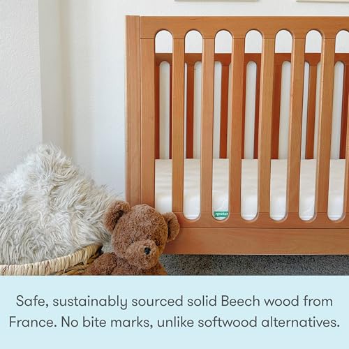 Galileo 3-in-1 Convertible Standard Crib - Chestnut (Chestnut)